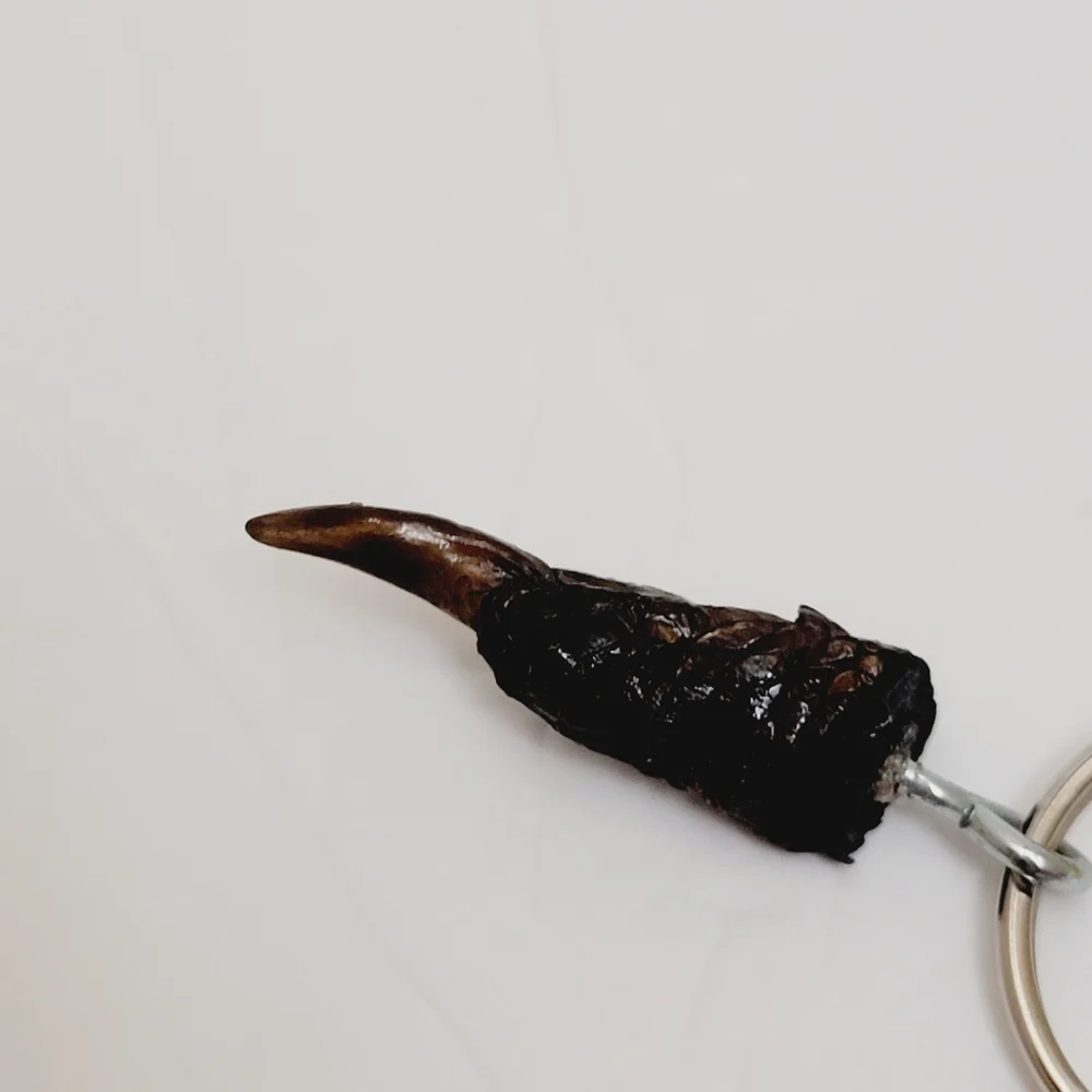 Genuine Gator Large Toe Claw Keyring/keychain